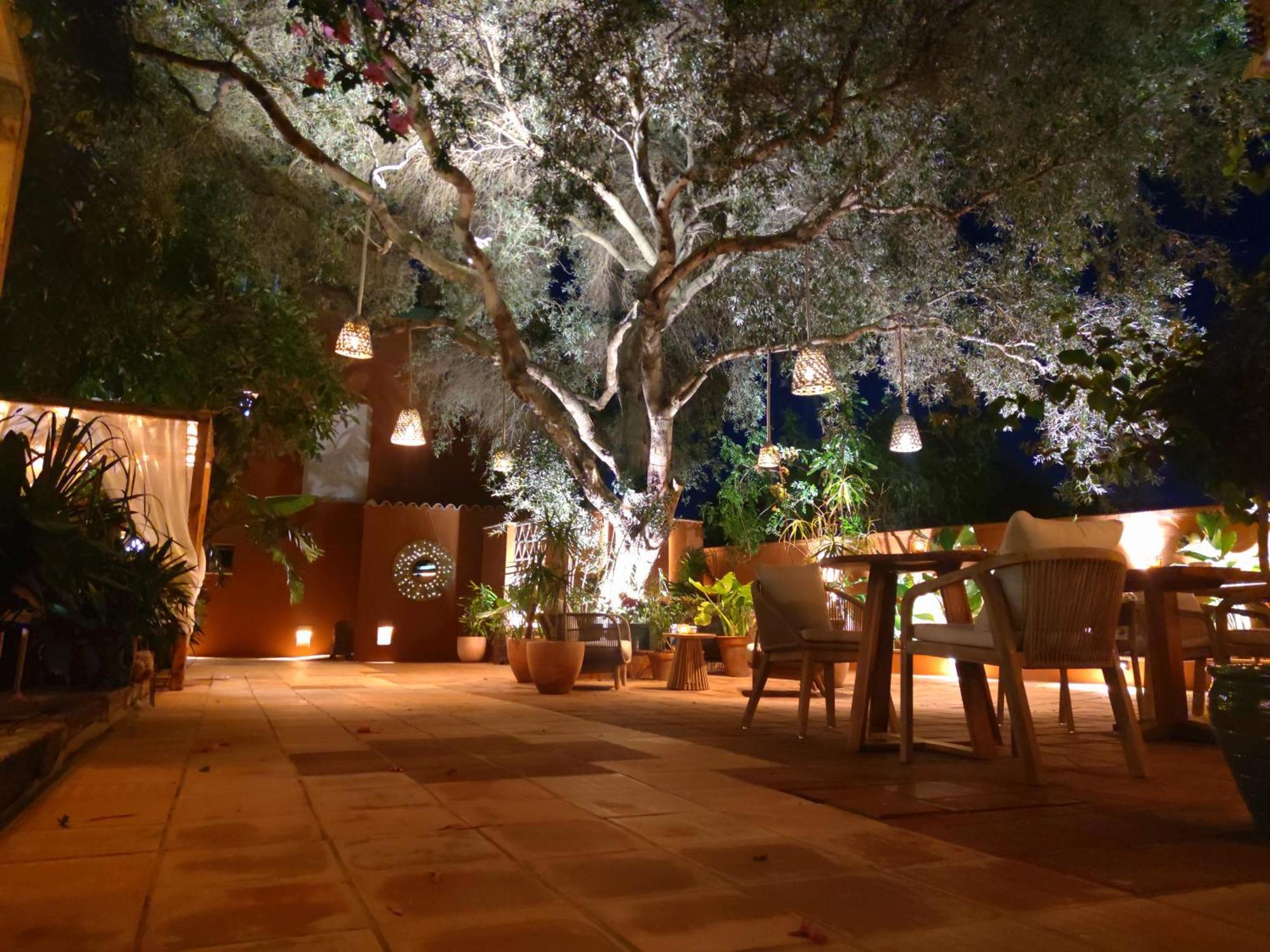 La Posada De Lola - Adults Only Hotel Bolonia Bagian luar foto